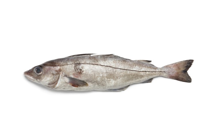 Haddock