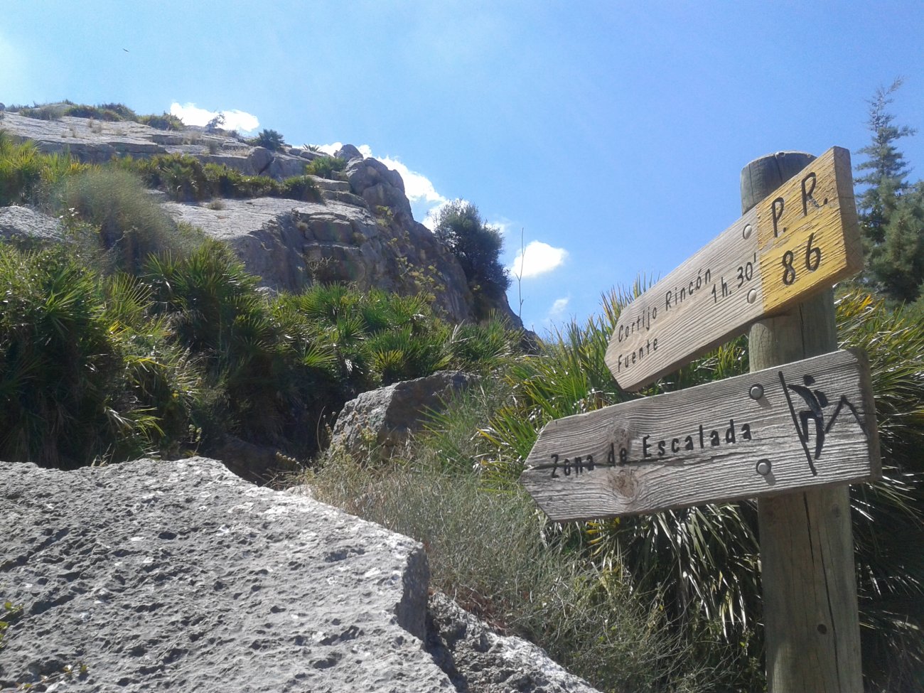 Escalada