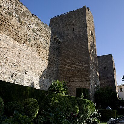 Castillo de Priego 