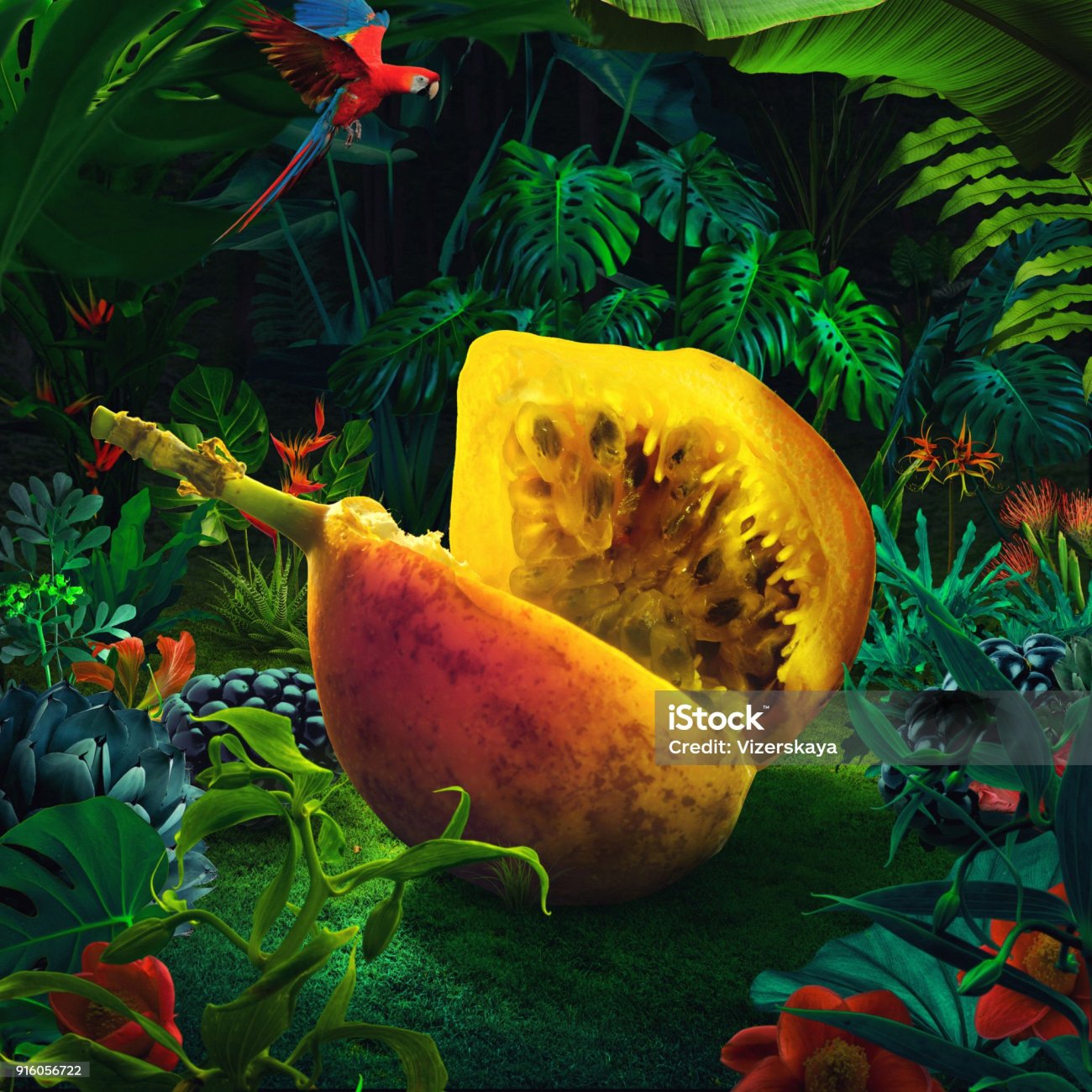  Selvática Restaurant