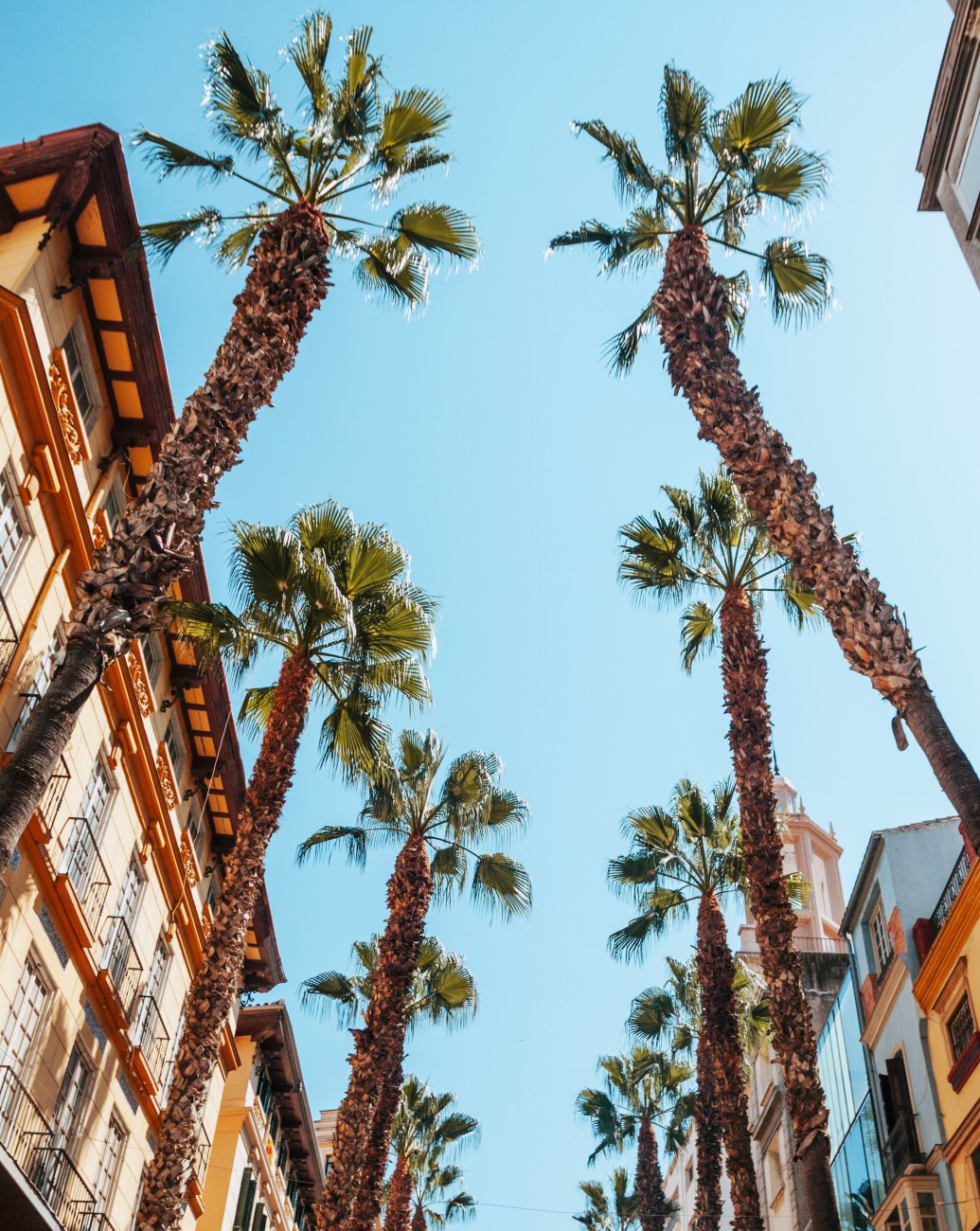 Málaga para Todos: Actividades Accesibles en el Centro para Personas con Movilidad Reducida