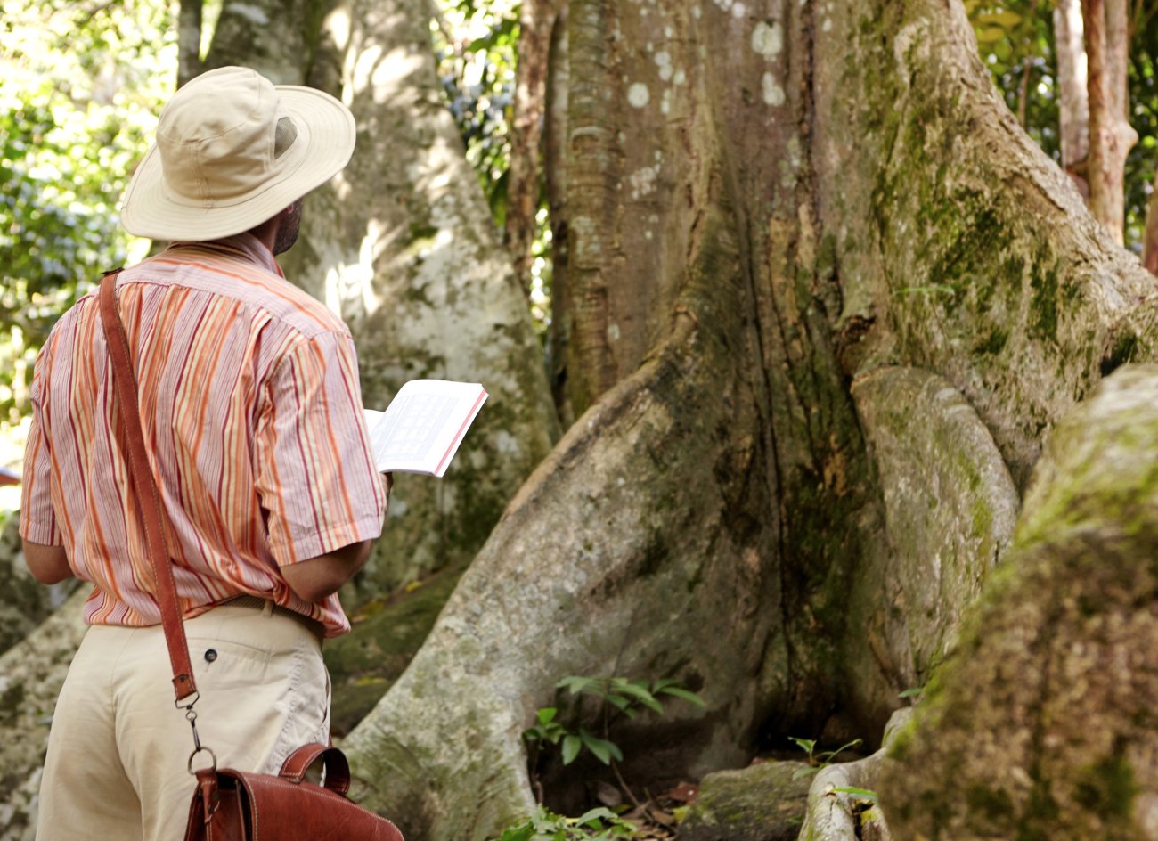 Micoturismo en Córdoba: Explora las rutas micológicas de la provincia