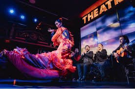 Espectaculo Flamenco