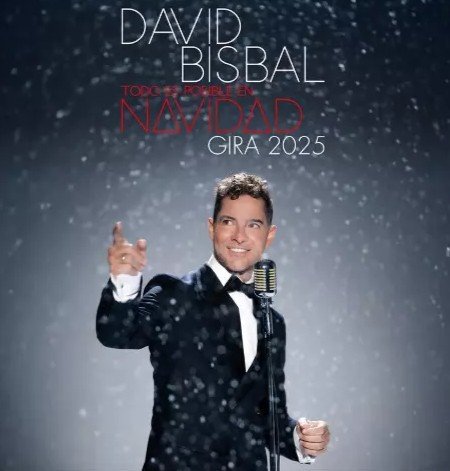 David Bisbal en Málaga 