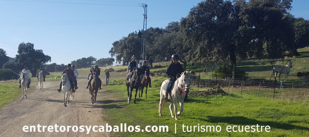 Ruta a caballo por el Bosque del Patriarca
