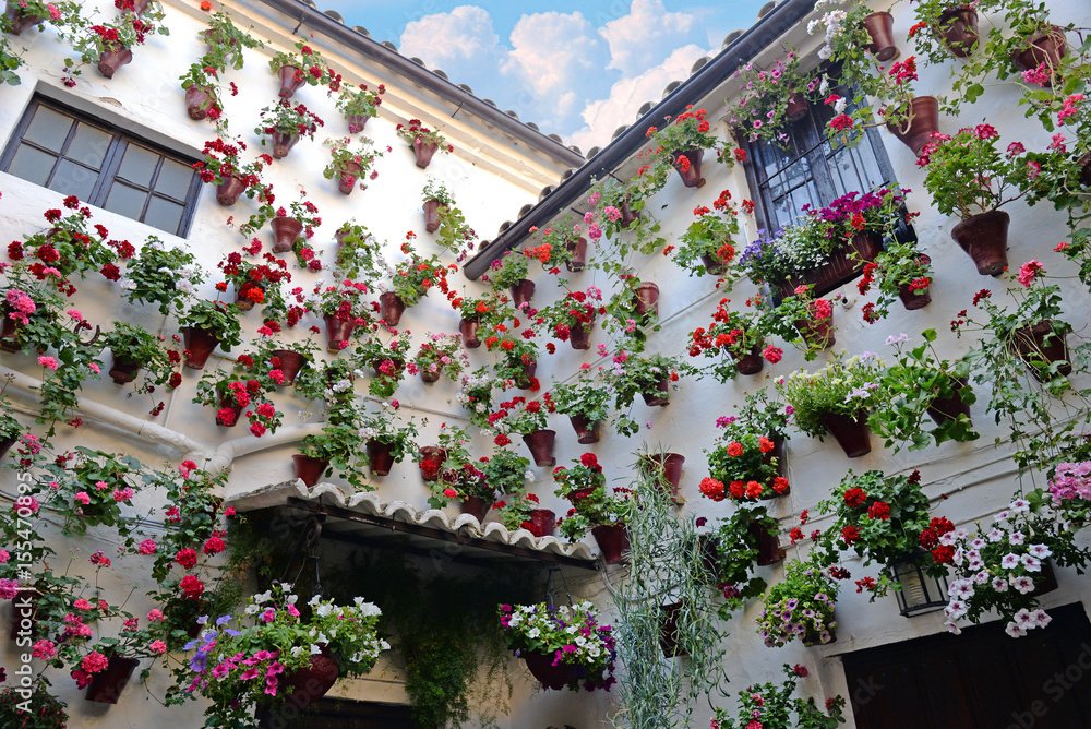 Visita a los Patios de Córdoba