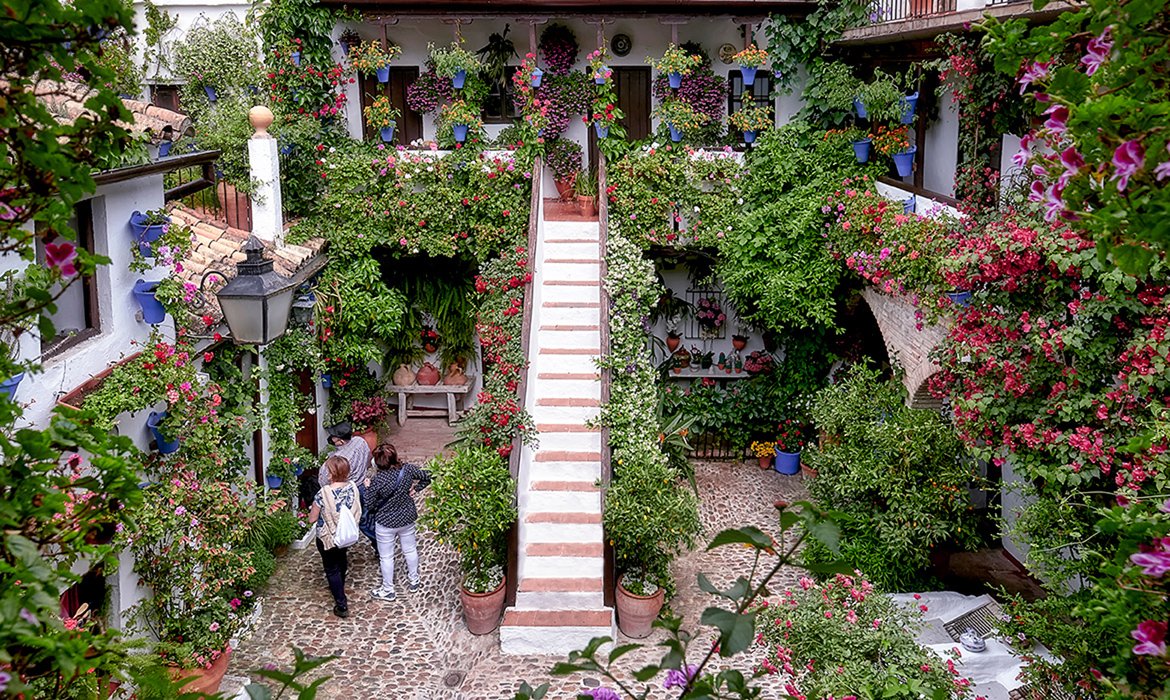 Córdoba Patios Festival.