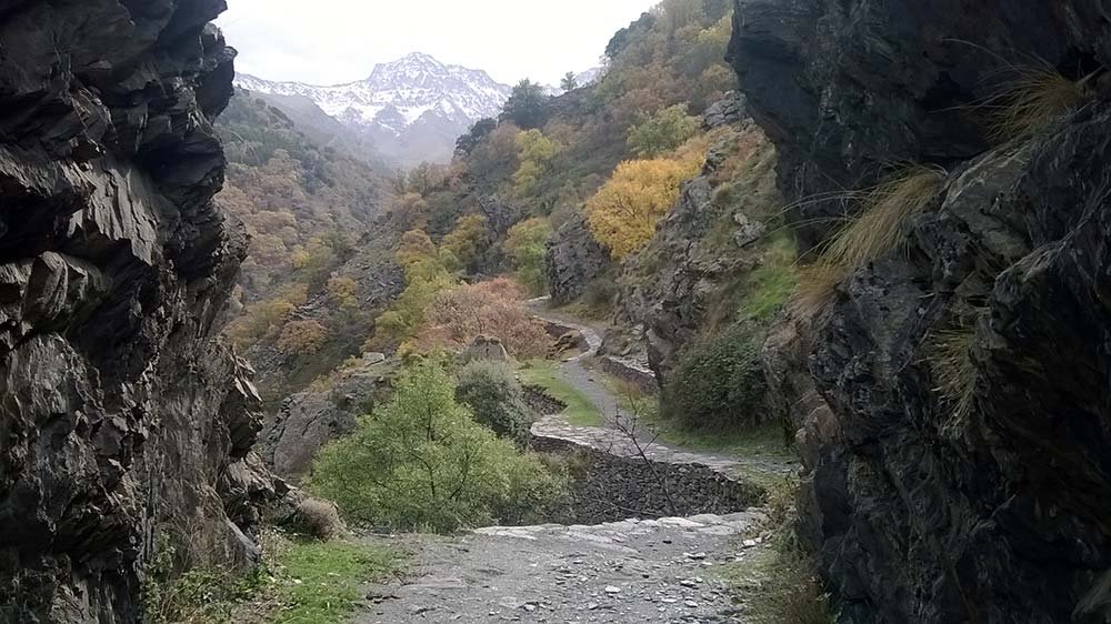 La Vereda de la Estrella