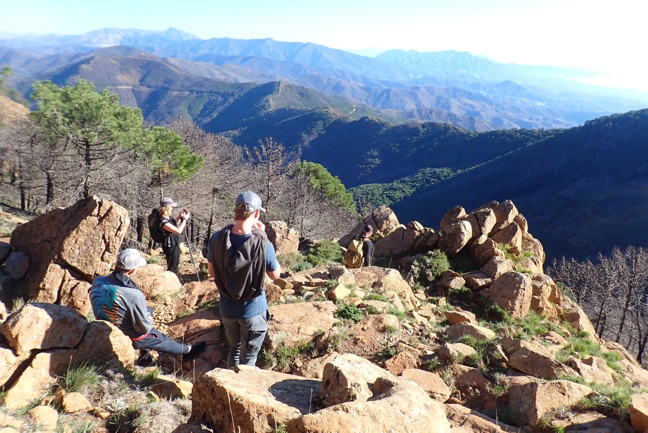 Tour privado en bicicleta de montaña en Sierra Bermeja, Estepona