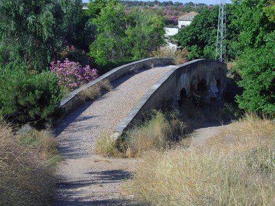 Sendero Vereda Alcolea