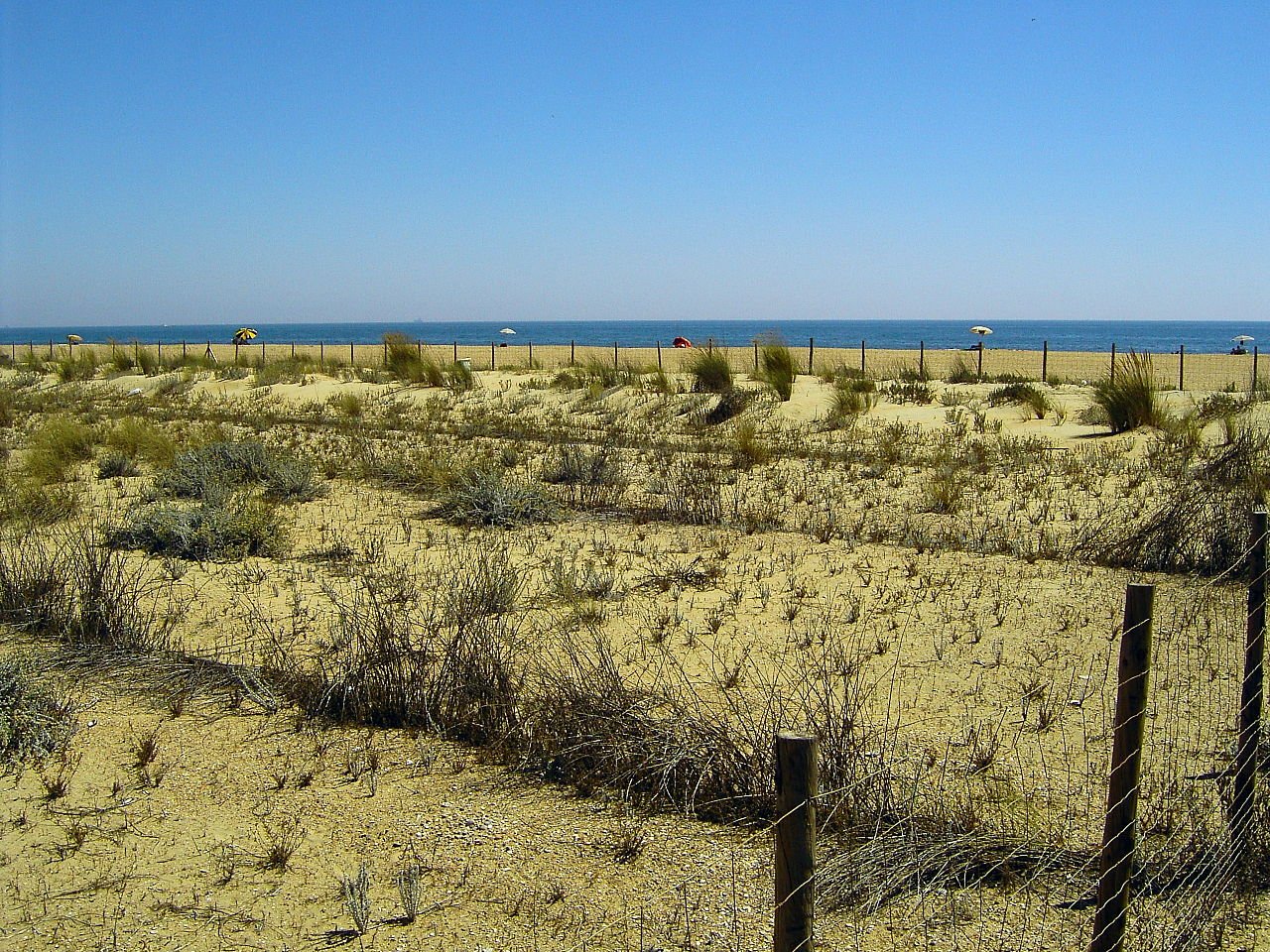 Marismas del Odiel Huelva