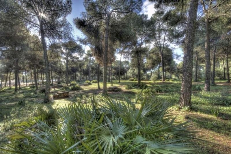 Sierrezuela Periurban Park
