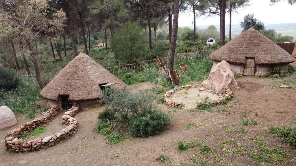 Prehistoric Park