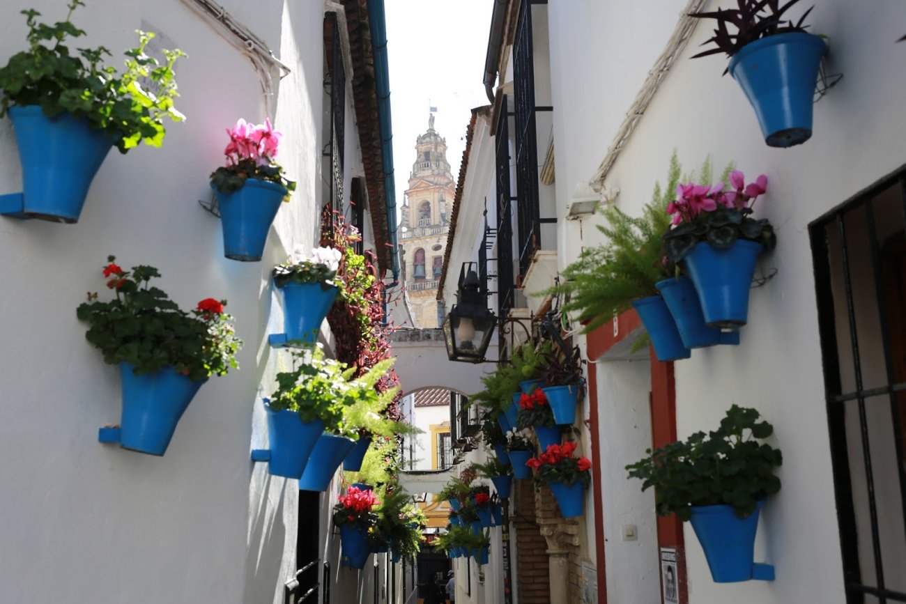 Alley of the flowers